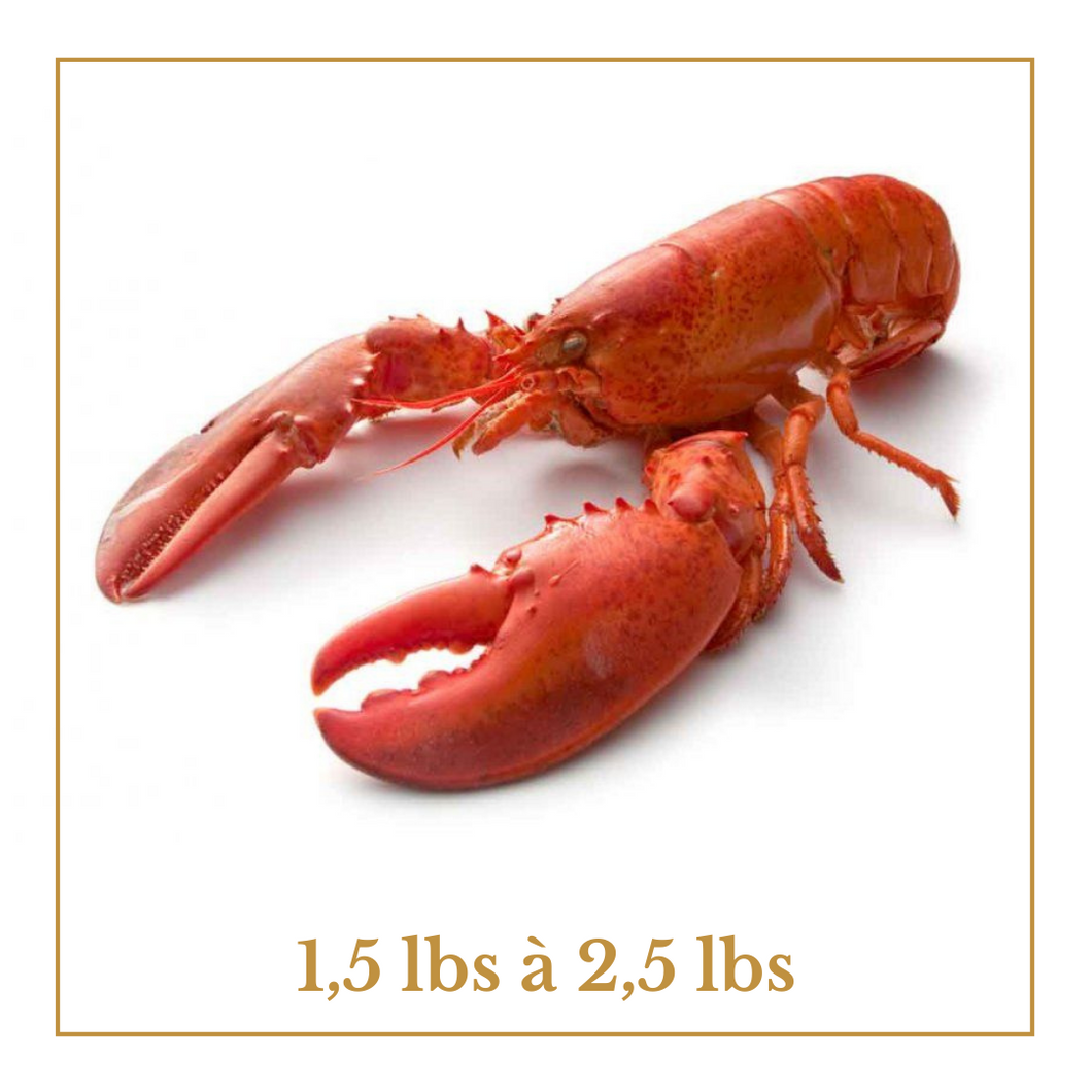 Homard canadien boîte de 10 livres